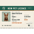 Aussie Pet Licence — NSW sample card for Banjo the Kelpie