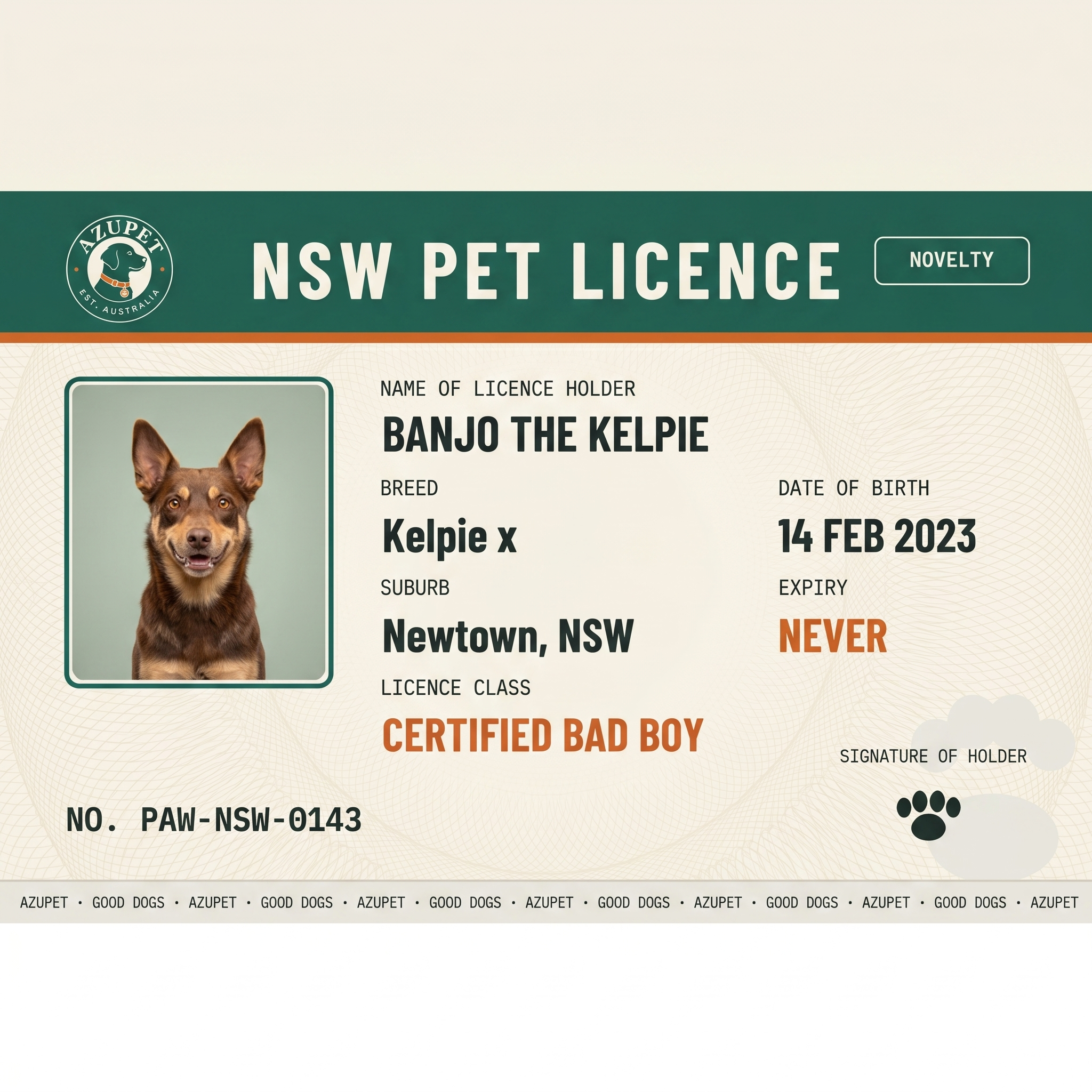 Aussie Pet Licence — NSW sample card for Banjo the Kelpie