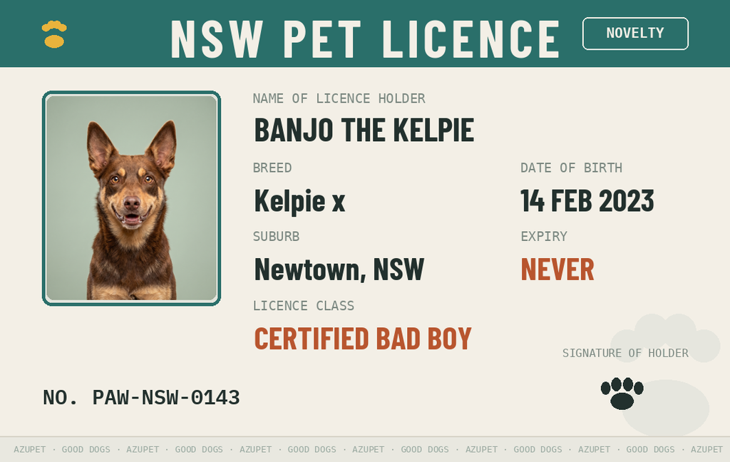 Aussie Pet Licence — NSW front design
