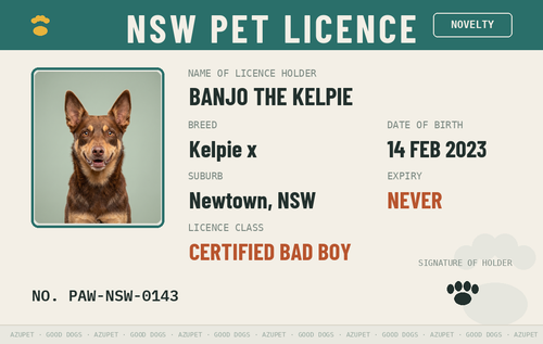 Aussie Pet Licence — NSW front design